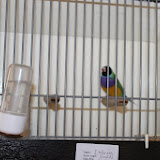 IMG_5341.jpg