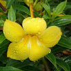 Interim in Sabah!!! 065.JPG