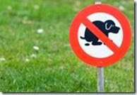 cane-kGT-U4300020350419230zH-190x130@Corriere-Web-Sezioni cane-kGT-U4300020350419230zH-190x130@Corriere-Web-Sezioni