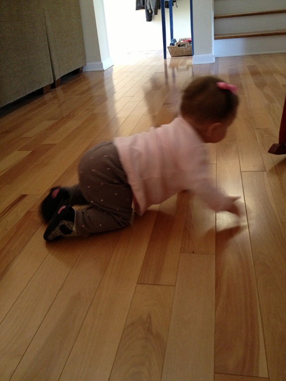 [IMG_1728%255B4%255D.jpg]
