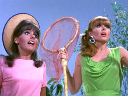 [Mary%2520Ann%2520and%2520Ginger%255B4%255D.jpg]
