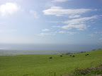 DSCN7347.JPG