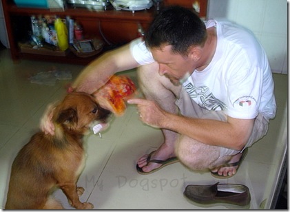 standoff between man and dog