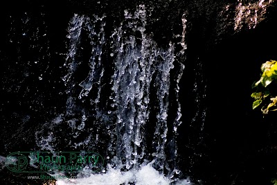 Trengwainton Gardens-8.jpg