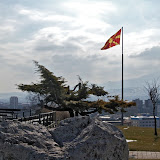 DSC_7390.JPG