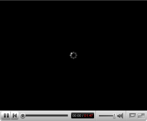[youtube-video-player-loading-300x246%255B3%255D.png]