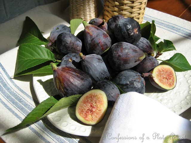 [figs%255B5%255D.jpg]