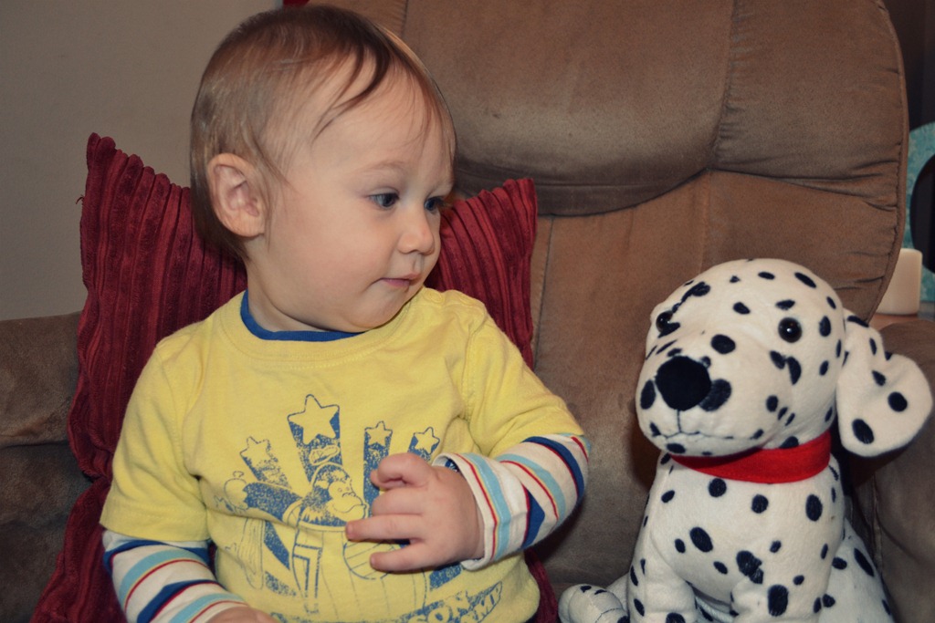 [DSC_0061%2520cp%255B4%255D.jpg]