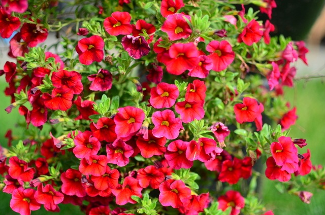 [DSC_0035%255B4%255D.jpg]