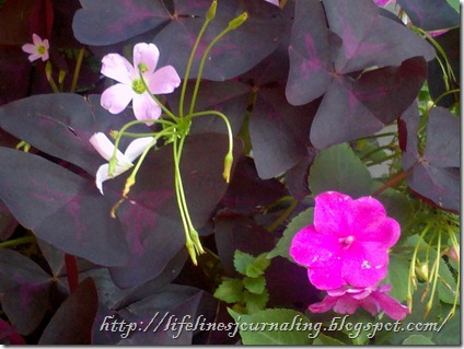 2011-07-09_17-17-16_535