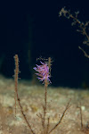 20091022-IMG_5954