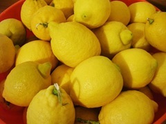 limoni 3 limoni 3