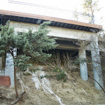 IMGP2436.JPG