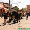DesfiledeCarrosdeBois2011-078.jpg