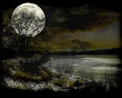 Under The Moon