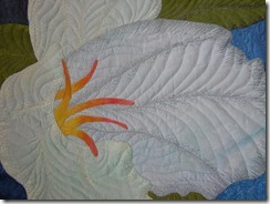 SpringGiftCloseup SpringGiftCloseup