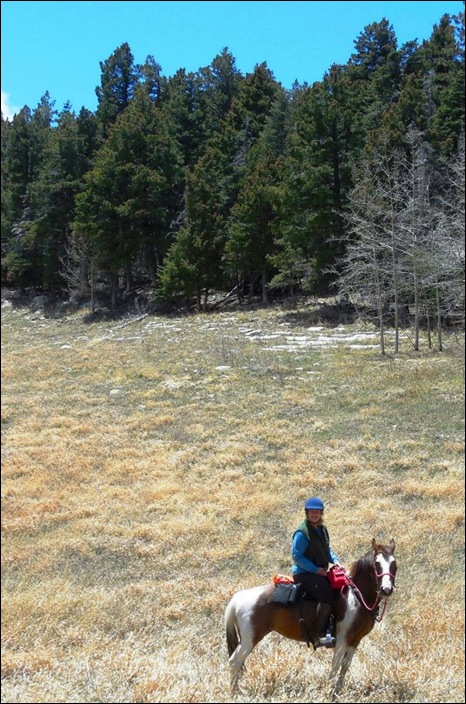 Sandia7