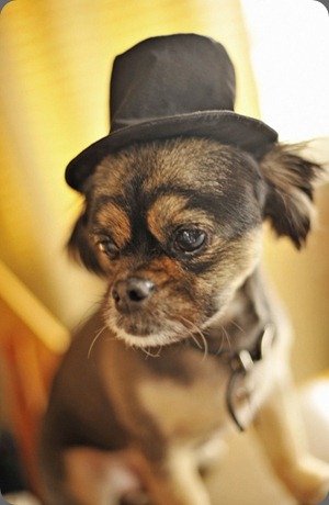 vintage-sixties-wedding-02 ruffled vintage-sixties-wedding-02 ruffled