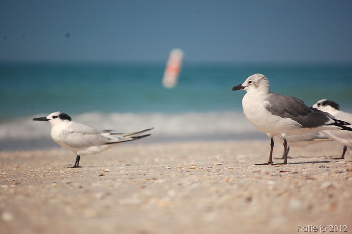 Beach2