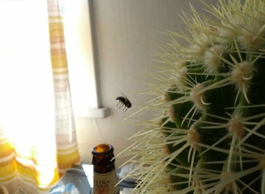 [viral-picdump-pics-49%255B2%255D.jpg]