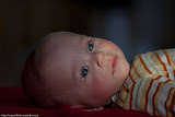 Daan, December 2009