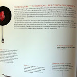 Quelujo_PagsModernistCuisine_2011-2.JPG