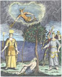 Frontispiece From Vanderbeeg Manuductio Hermetico Philosophica 1739