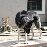 IMG_1844.JPG
