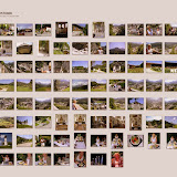 BLG_06-08-2007