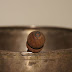 DSC02173.JPG