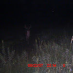 ICAM0077.JPG