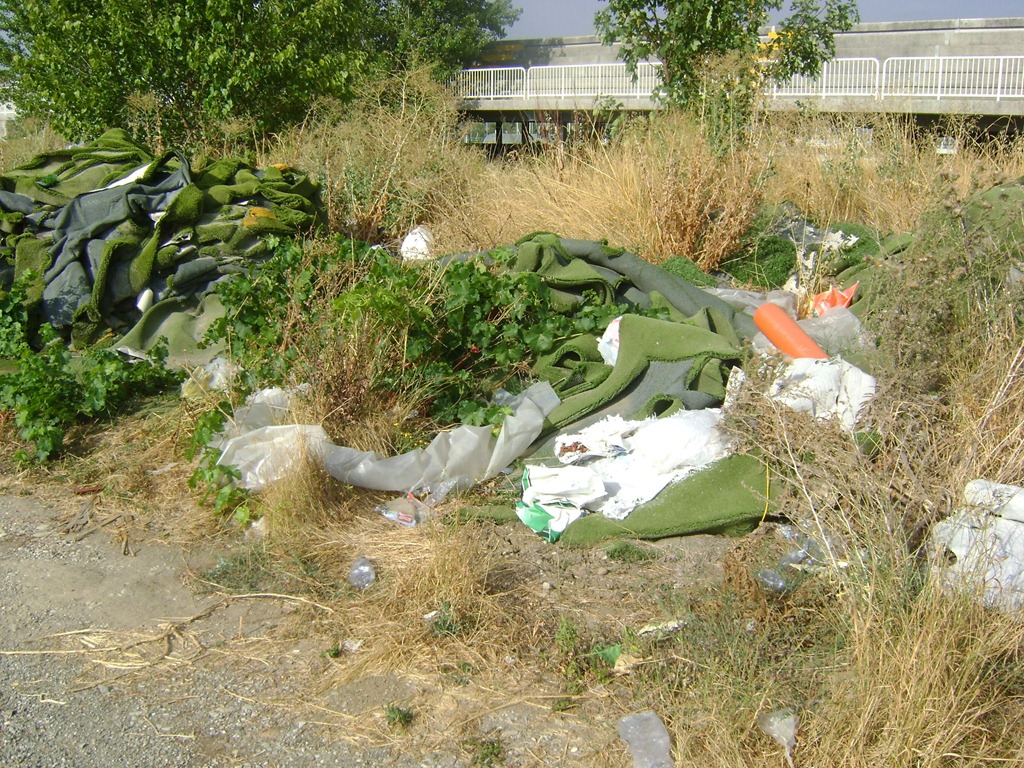 [collecchio-1%255B3%255D.jpg]