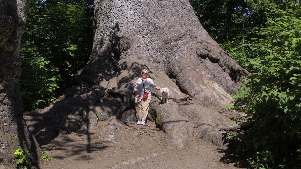 [IMG_0292%255B7%255D.jpg]