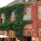 20100815_083_small.JPG