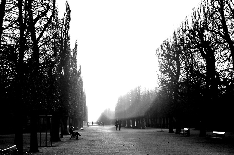 _DSC0162 _DSC0162