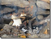 flame in the air flame in the air