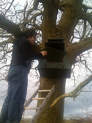 Adding the landing platform and front cover.