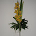 Tall limited orchid display from £25-£50.JPG