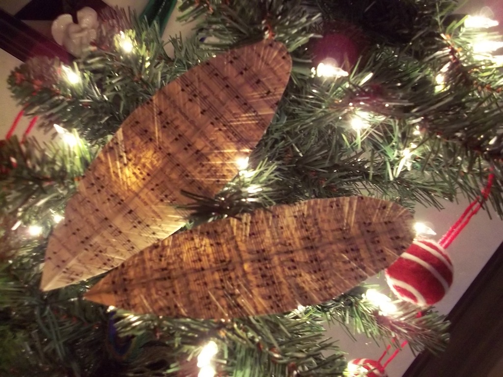 [100_2815%255B4%255D.jpg]