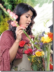 Mirattal Heroine Sharmila Mandre New Pics
