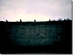 IMG_0026 IMG_0026