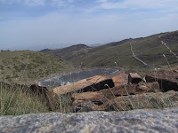 IMG_4956.JPG Photo