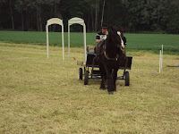 DSC01534.JPG
