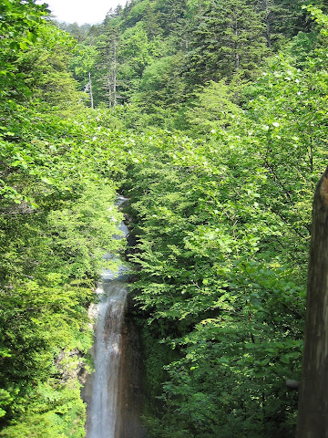 緋の滝