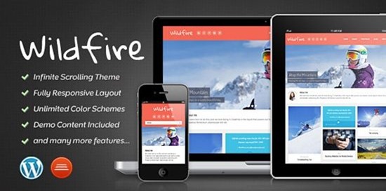 Wildfire WordPress theme review