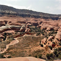 comp1_CIMG1558.jpg Photo