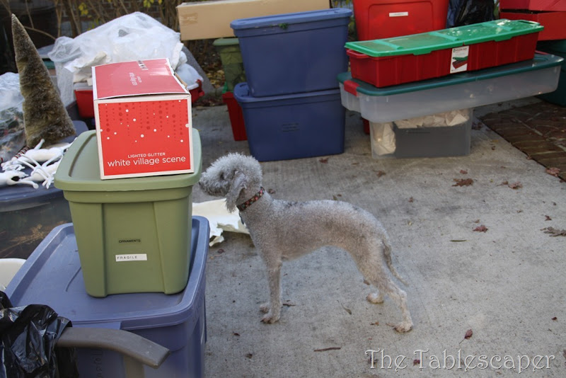 Thanksgiving 049