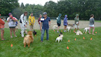 There are so many different kinds of dogs here.  I wonder how they will be judged?