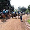 2EncontrodeMuladeiros-366.JPG