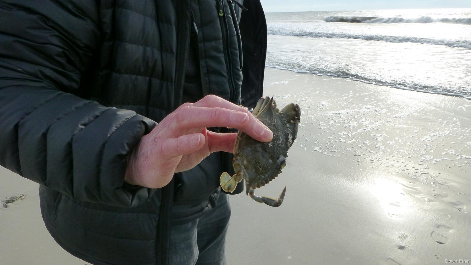[Huntington%2520Beach%2520SP%2520last%2520photos_027%255B3%255D.jpg]